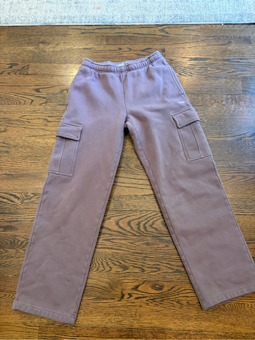 Aritzia TNA Cargo Pants in Smoked Eggplant